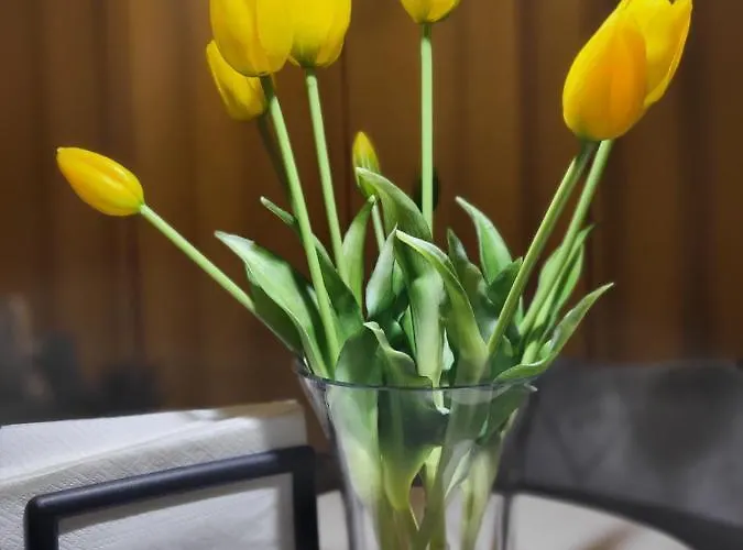 A70 Laguna Beskidow Wellness&spa Zeglarski زارجيتشه