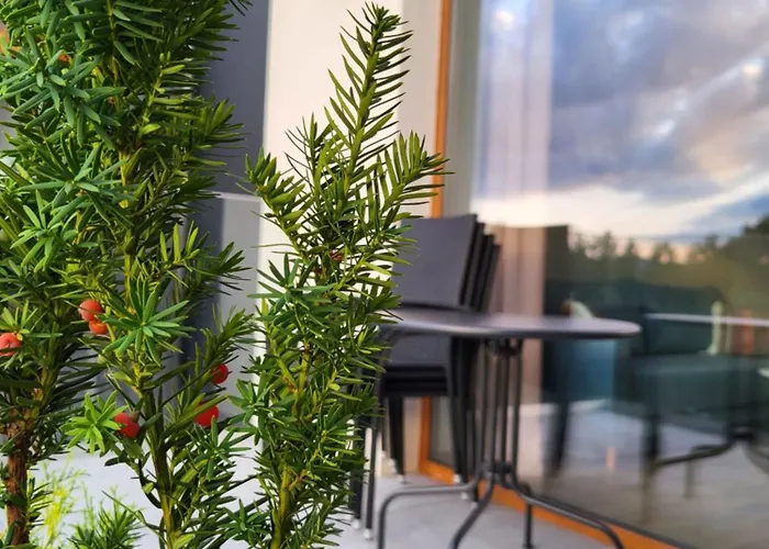 A70 Laguna Beskidow Wellness&spa Zeglarski